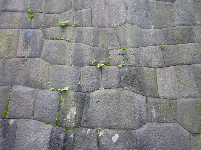 e0196993_2434669.jpg