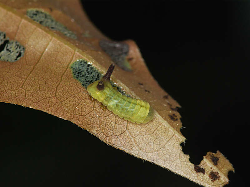 f0204094_834050.jpg