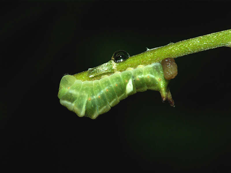 f0204094_842162.jpg