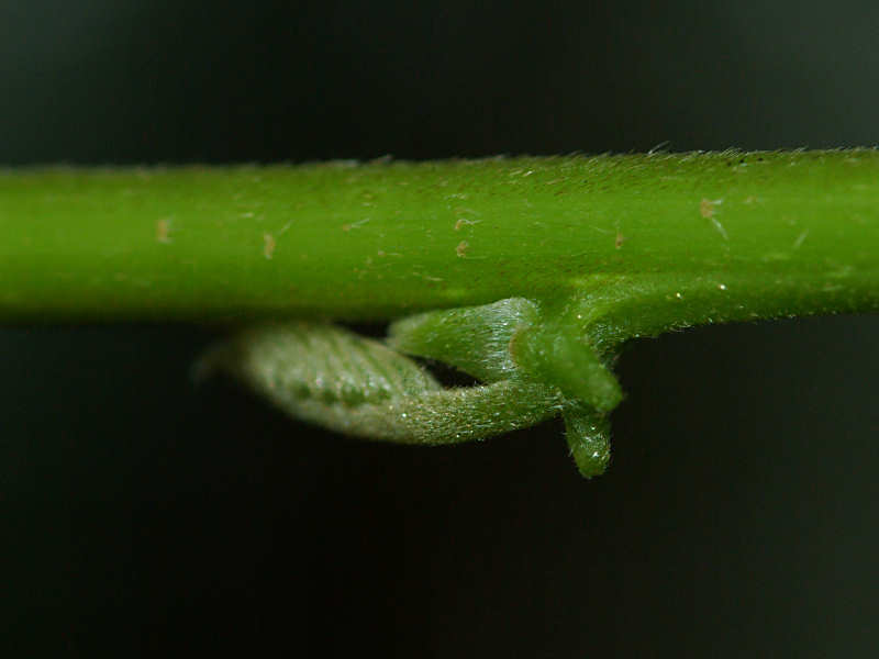 f0204094_852338.jpg