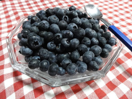 f0209394_2371796.jpg