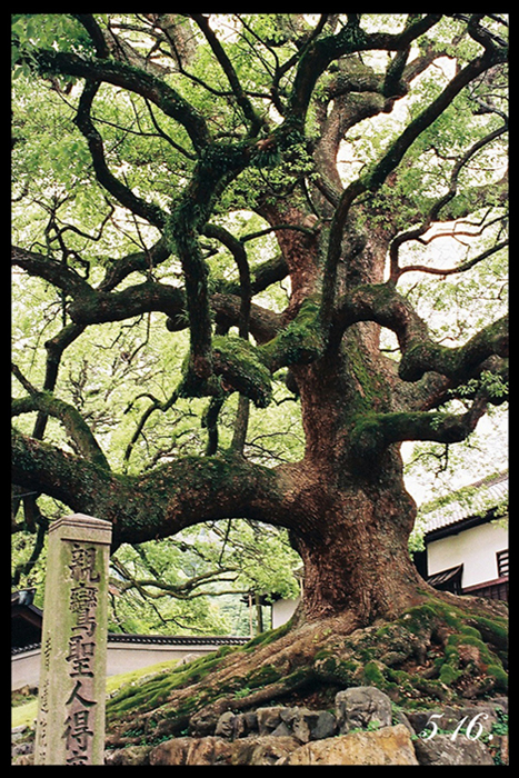 京都Photo_c0214195_200583.jpg