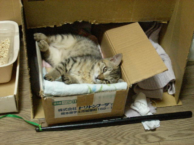 a0038698_0221567.jpg
