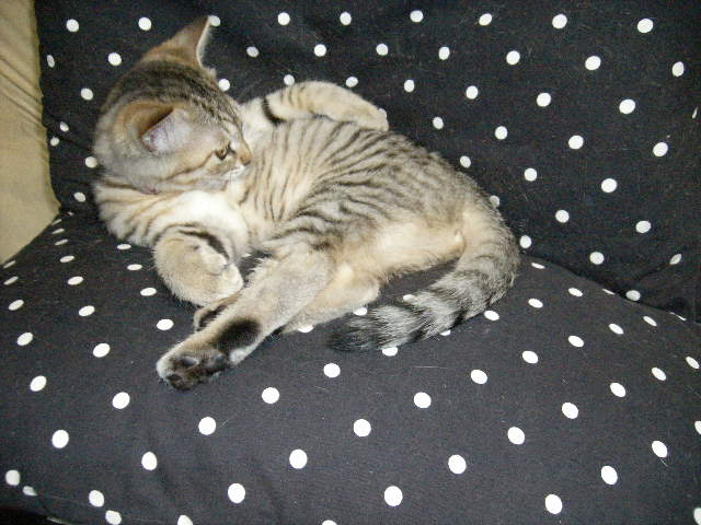 a0038698_032284.jpg