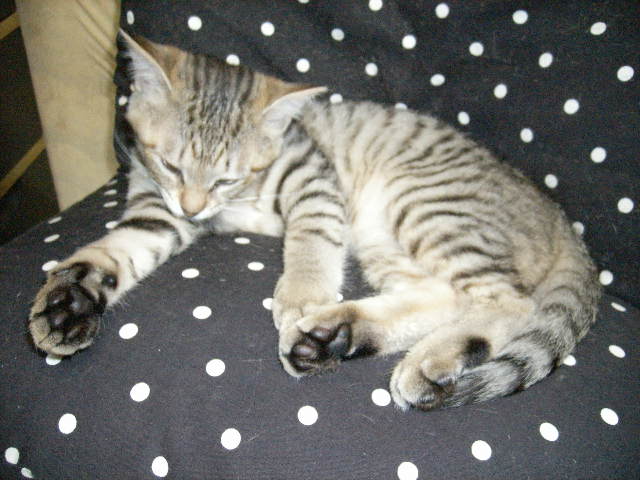 a0038698_032522.jpg