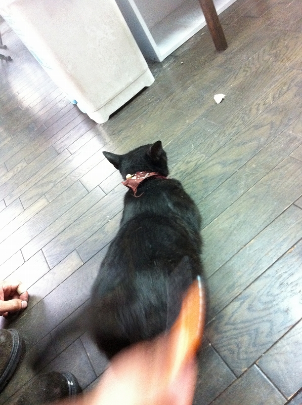 日記_a0165898_20512041.jpg