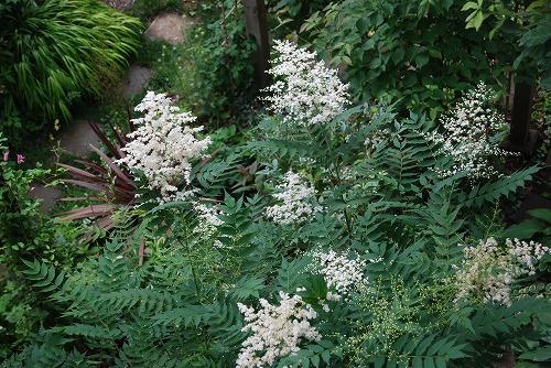 c0124100_14415274.jpg