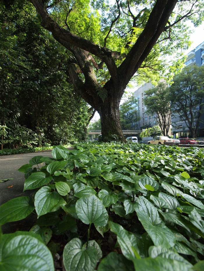 f0224100_954768.jpg