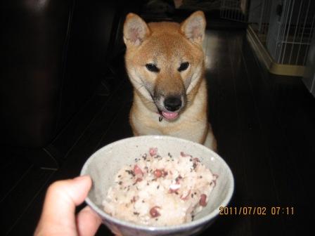コロンのお赤飯 今日はなにしたっけ