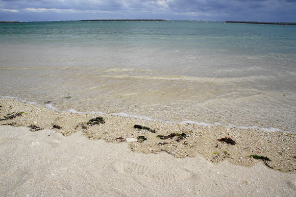 b0139906_13414456.jpg