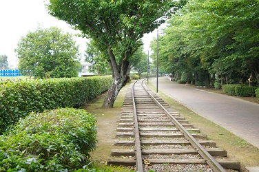 f0217507_19593765.jpg
