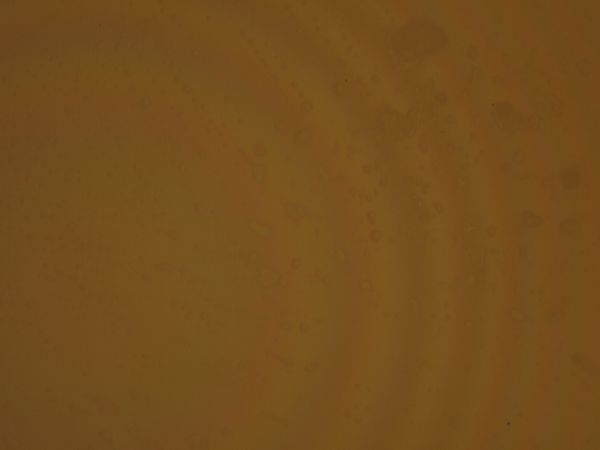 c0164709_1671786.jpg