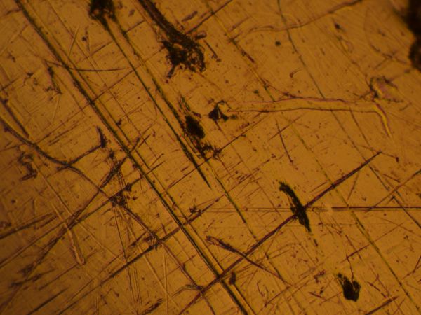 c0164709_1672438.jpg