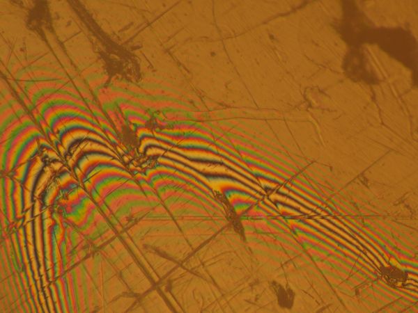 c0164709_1672748.jpg