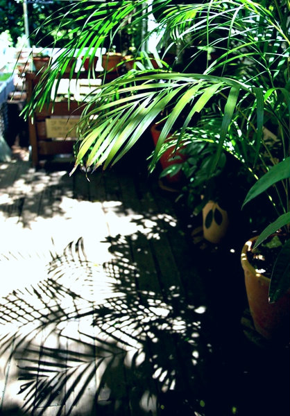 e0202310_17254898.jpg