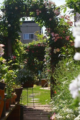 f0170524_1614563.jpg