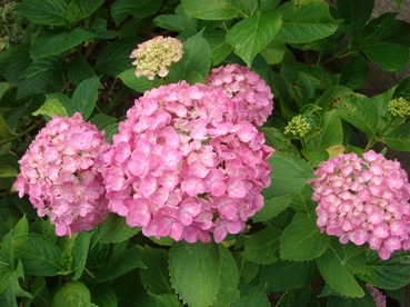 b0169238_23103588.jpg