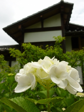 b0169238_2316929.jpg