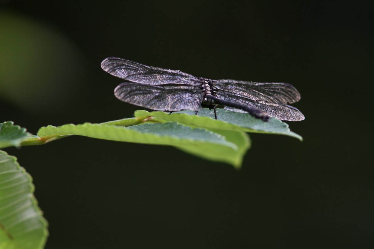 c0172139_20215541.jpg