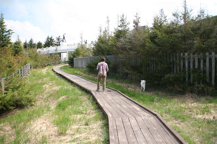 d0204043_1703.gif