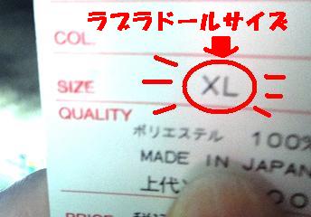 涼しく過ごす(その1)・・・引越し先探検♪_e0195743_2264095.jpg