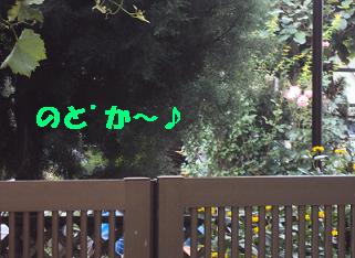 涼しく過ごす(その1)・・・引越し先探検♪_e0195743_227752.jpg