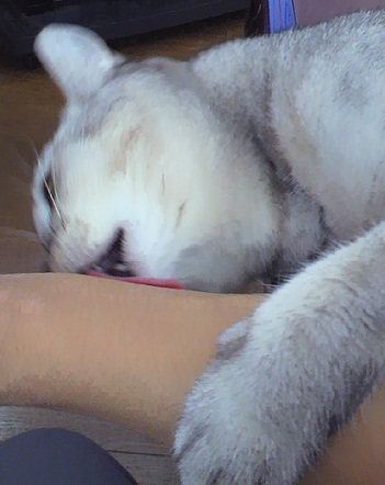 勝負?_f0002743_14343541.jpg