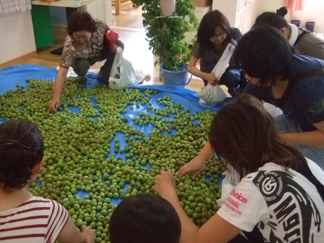 ゆり組 参観日_d0166047_21292198.jpg