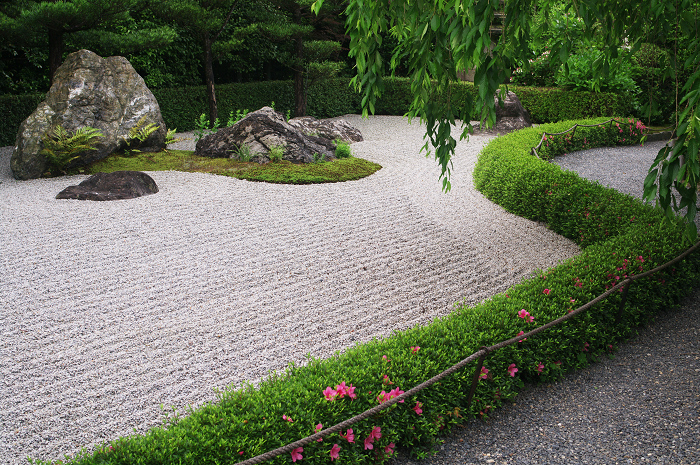 花咲くお庭（退蔵院）_f0155048_2153963.jpg