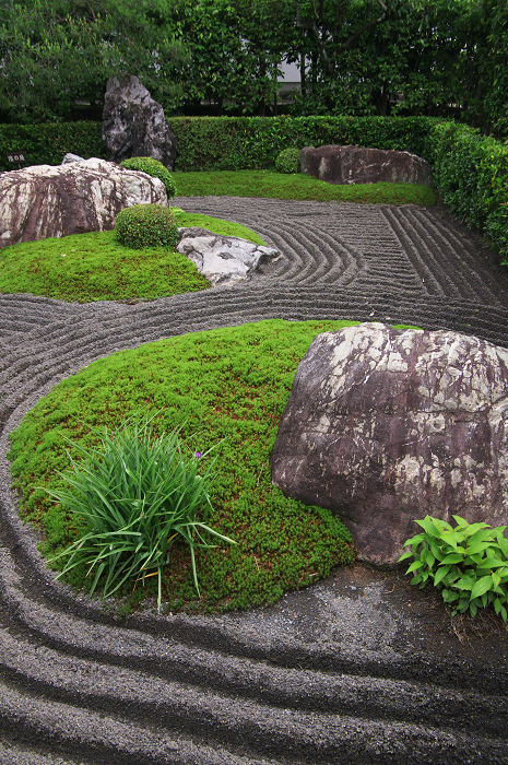 花咲くお庭（退蔵院）_f0155048_21574686.jpg