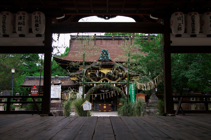 アジサイの藤森神社_f0155048_23341214.jpg