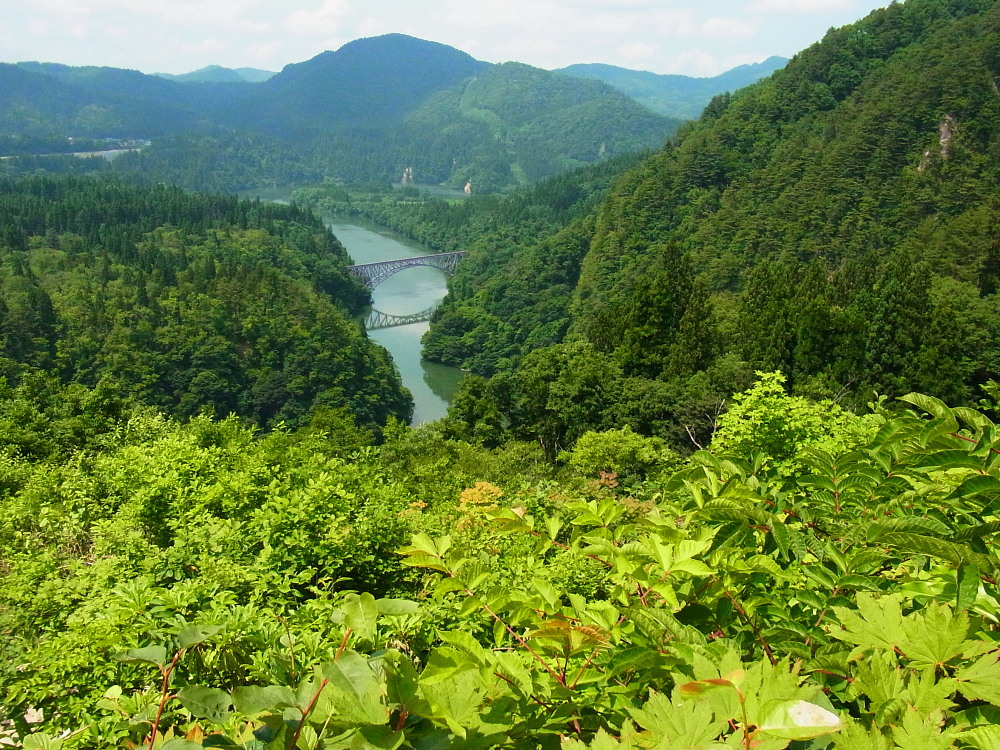 a0146869_23472437.jpg