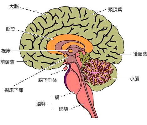 涙のカタルシス2 赤き龍サタン 青き衣のイシス たんぽぽ日記_c0139575_314690.gif