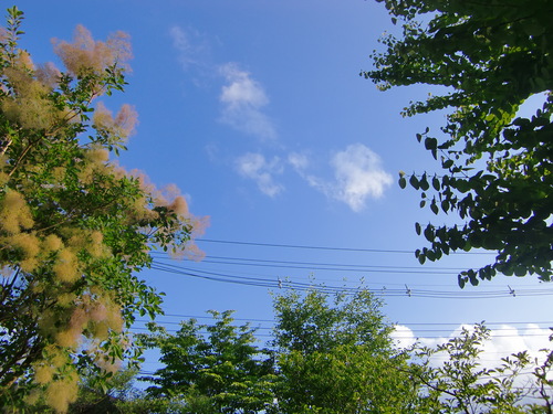 e0145589_04666.jpg