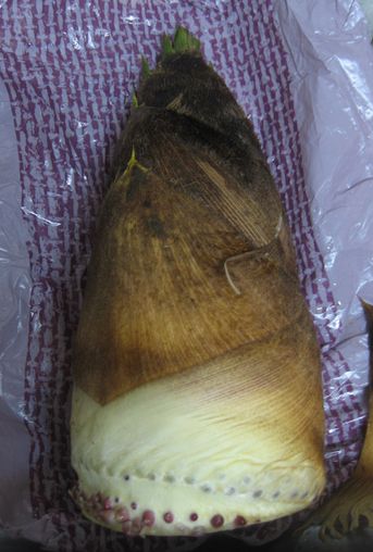 a0027290_22263266.jpg