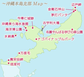 琉球の旅67 本島北部 ちゅら海水族館 黒潮の海 Tomの一人旅 気のむくまま 足のむくまま 琉球の旅67 本島北部 ちゅら海水族館 黒潮の海 Tomの一人旅 気のむくまま 足のむくまま