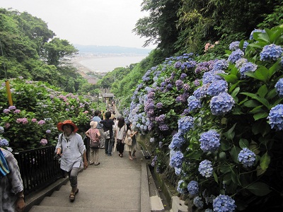 a0154793_1352867.jpg