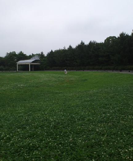 b0204695_23333790.jpg