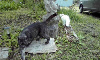 c0206596_2149952.jpg