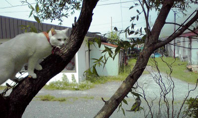 c0206596_2155116.jpg