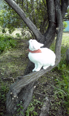 c0206596_2157228.jpg