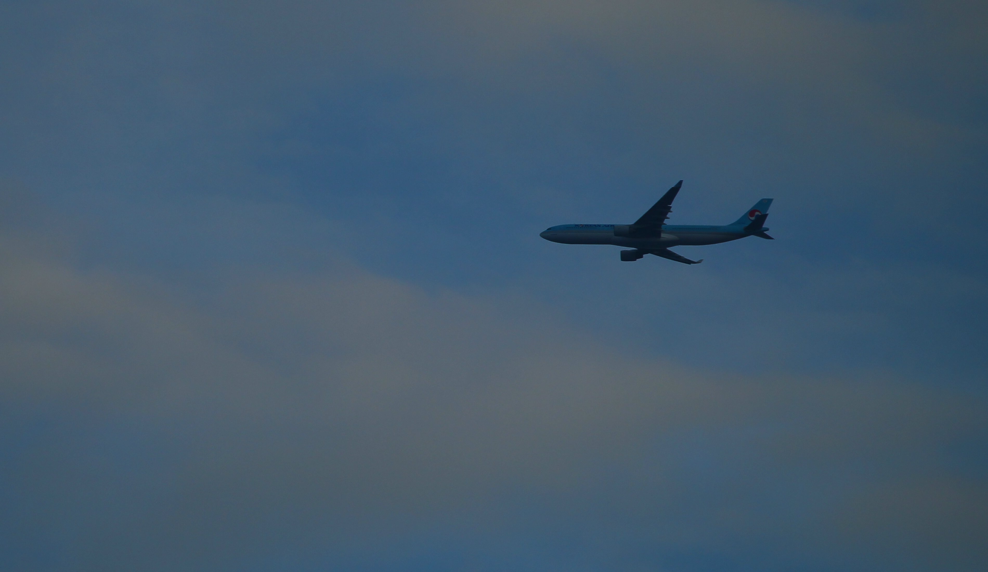 d0182403_8155662.jpg