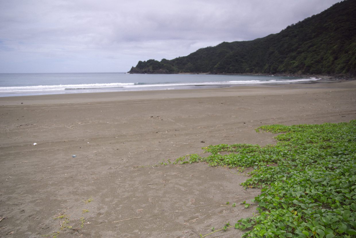 b0174905_18441785.jpg