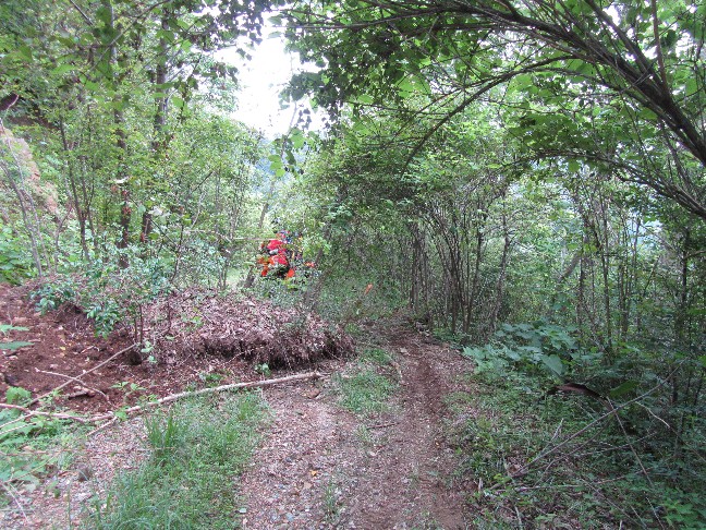 e0118908_2056332.jpg