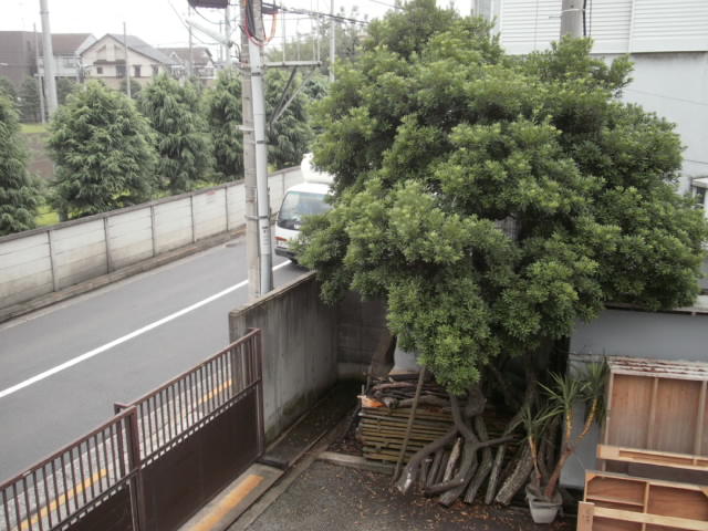 c0116610_13461740.jpg