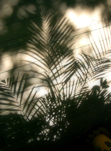 e0202310_7454011.jpg