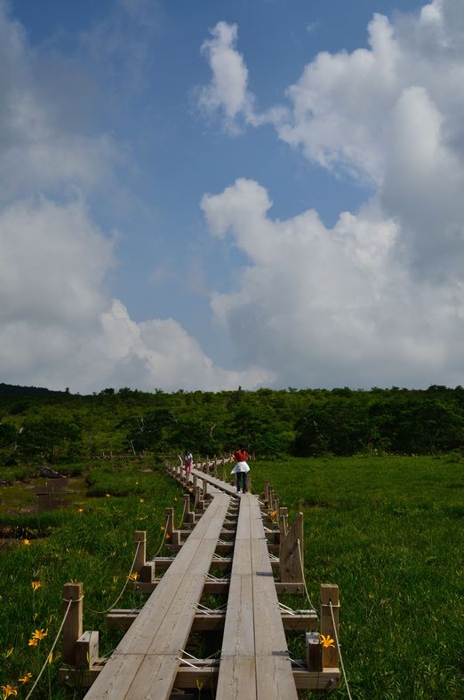 a0130512_21321040.jpg