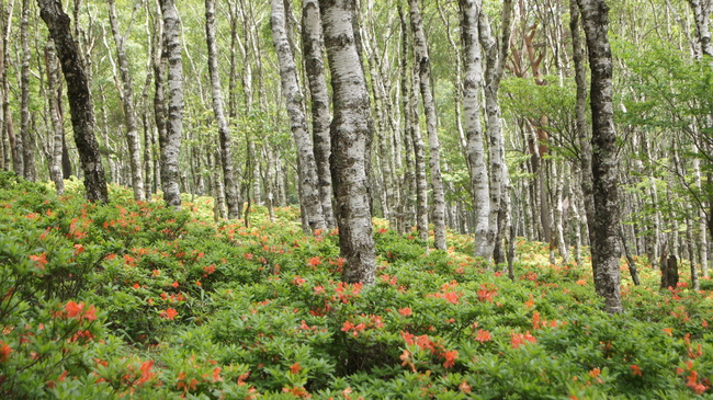 f0233414_00021.jpg