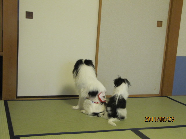 c0200916_16444098.jpg