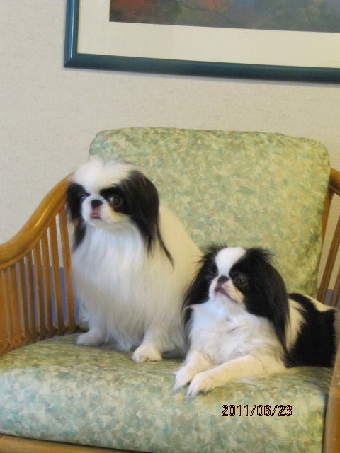 c0200916_179611.jpg